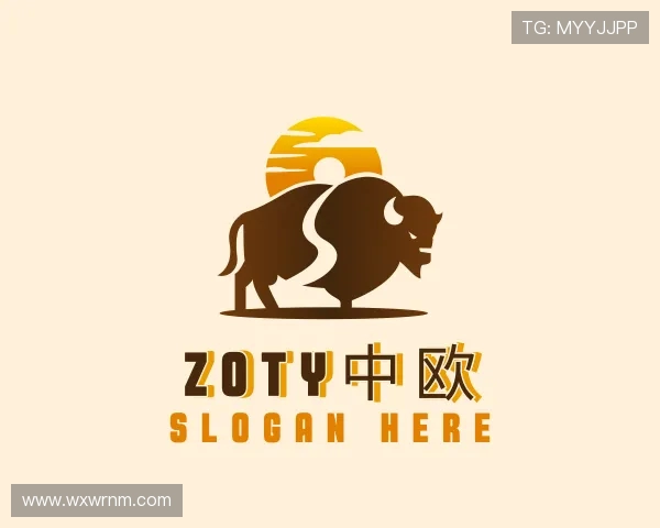 认识zoty中欧注册登录